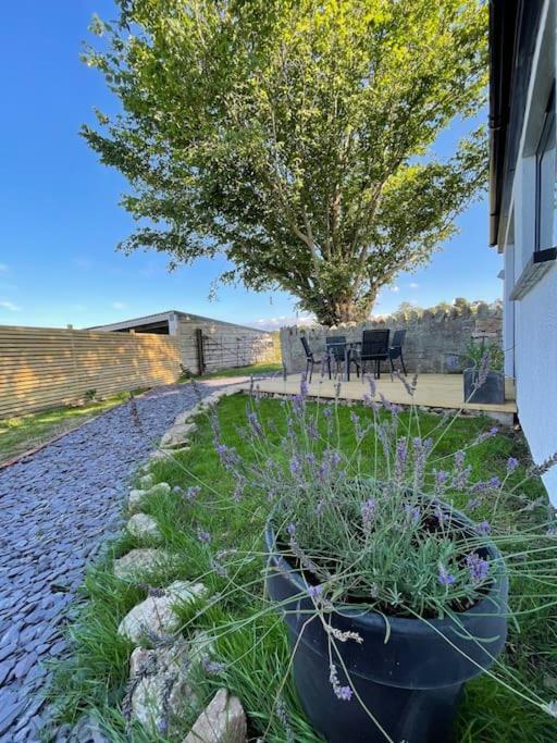 Tranquil, Secluded, Rural Cottage For Two بوماريس المظهر الخارجي الصورة
